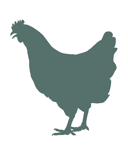 Poulet