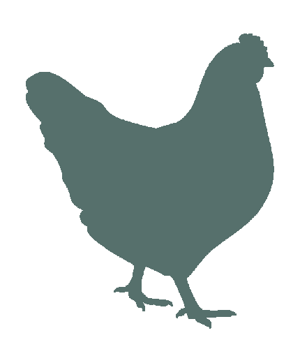 Poulet2